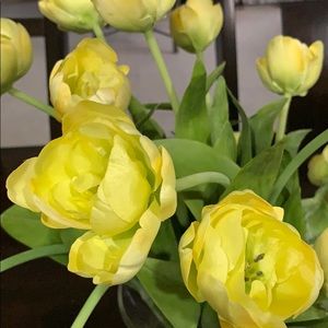 Meet your Posher, Carleena